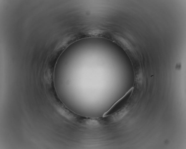 X0000092240572200709281126