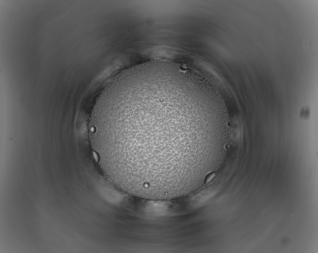 X0000092240573200709281126