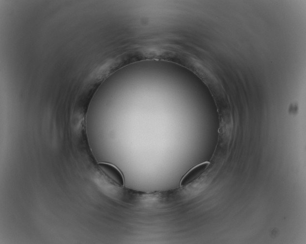 X0000092240574200709281126