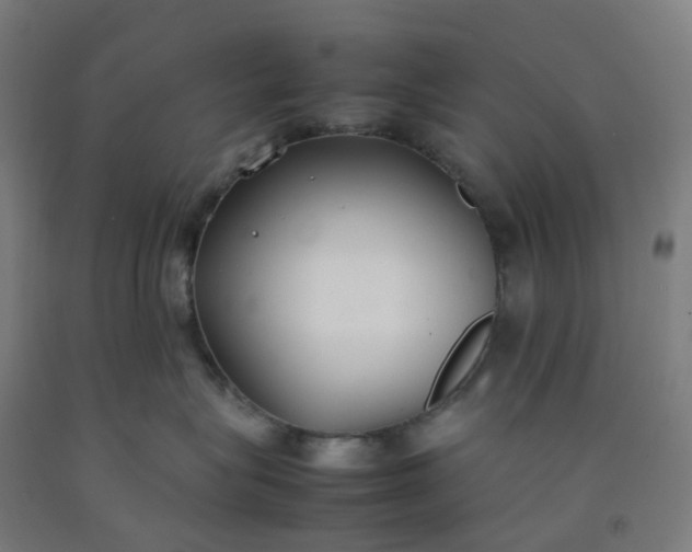 X0000092240575200709281126