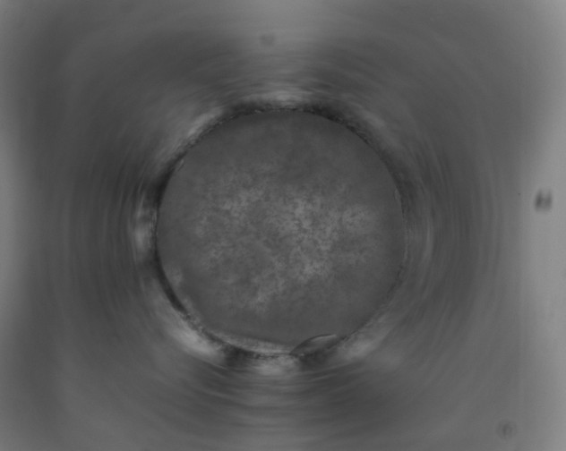 X0000092240576200709281126