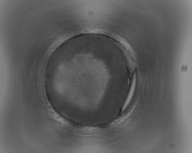 X0000092240577200709281126