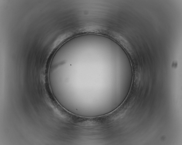 X0000092240578200709281126