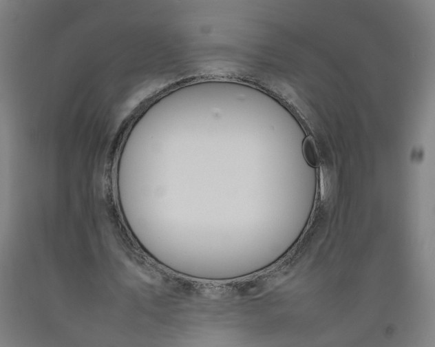 X0000092240579200709281126