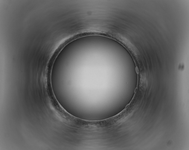 X0000092240580200709281126