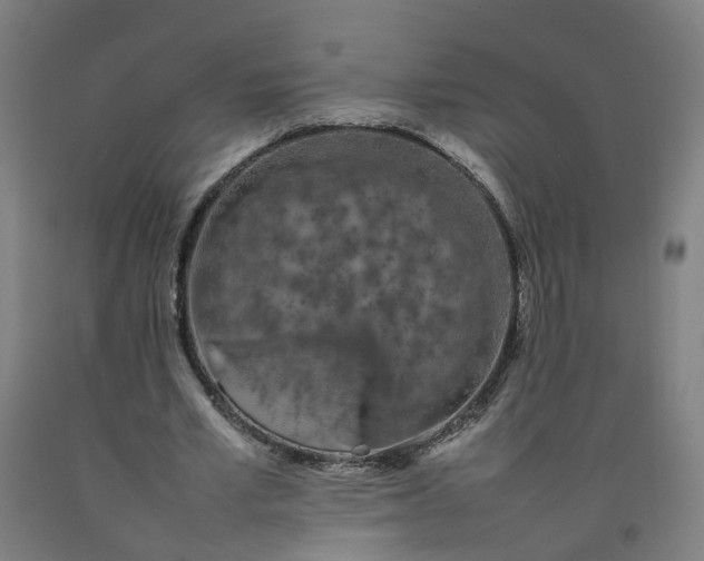 X0000092240581200709281126