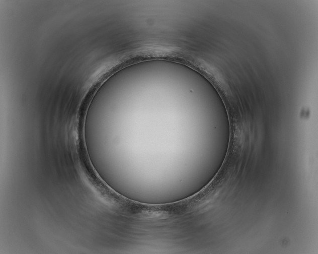 X0000092240582200709281126