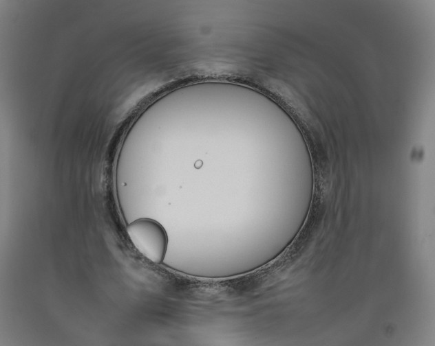 X0000092240583200709281126