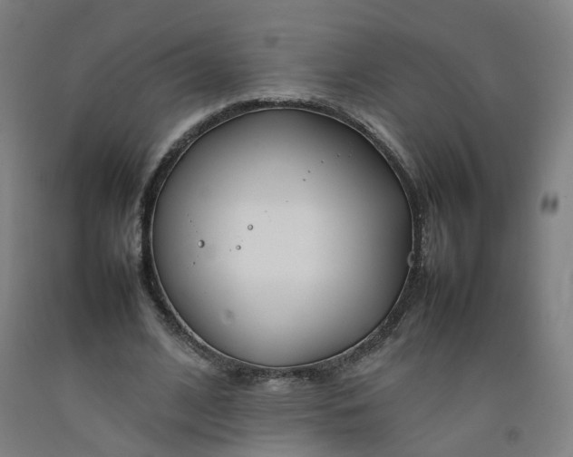 X0000092240584200709281126