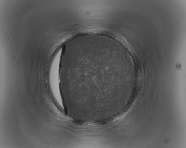 X0000092240585200709281126