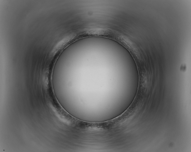 X0000092240586200709281126