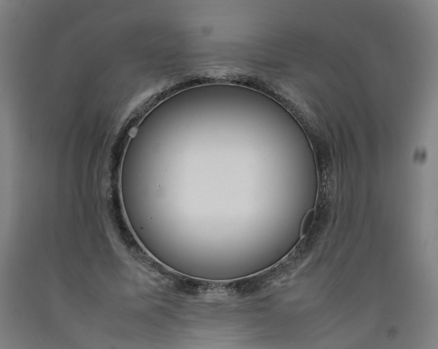 X0000092240587200709281126