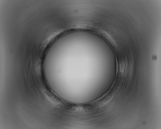 X0000092240588200709281126