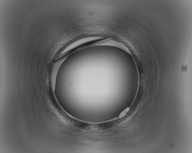 X0000092240589200709281126