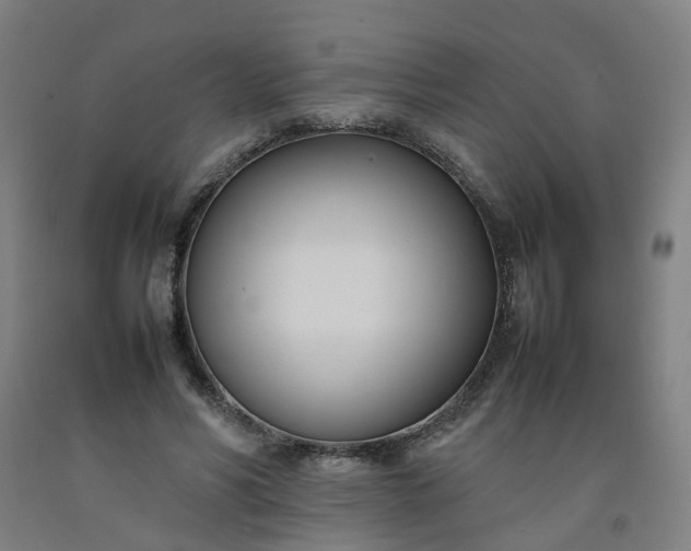 X0000092240590200709281126