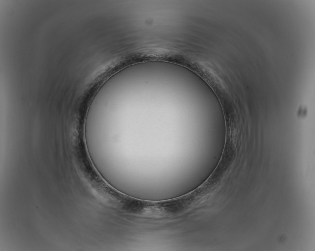 X0000092240591200709281126