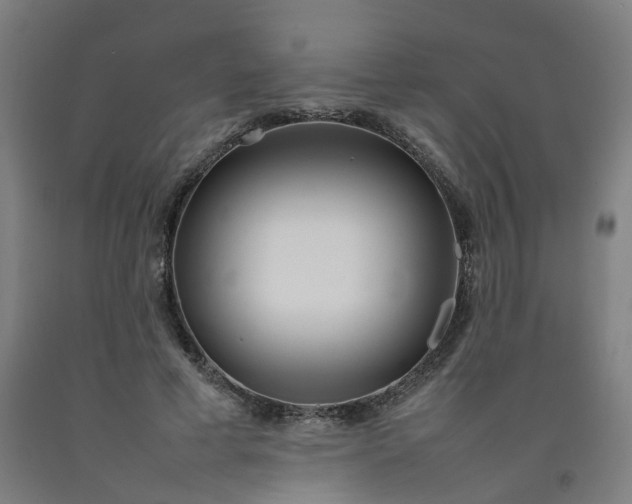 X0000092240593200709281126