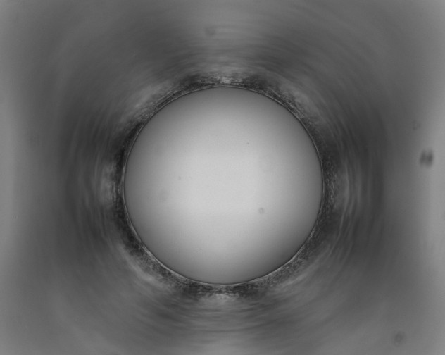 X0000092240594200709281126