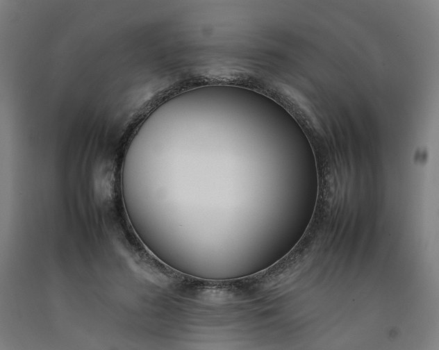 X0000092240596200709281126