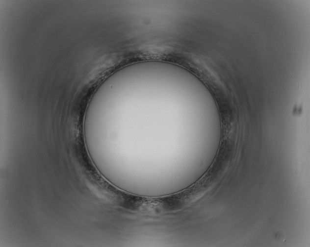 X0000092240599200709281126