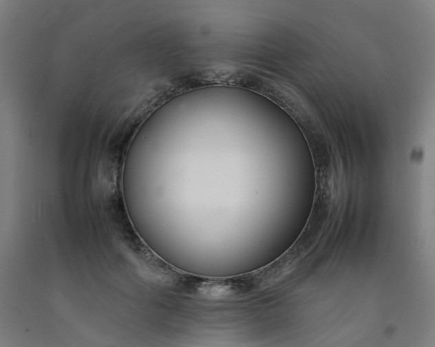 X0000092240602200709281125