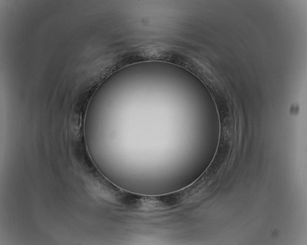 X0000092240605200709281125