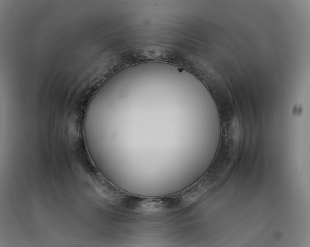 X0000092240606200709281125