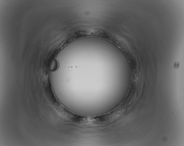 X0000092240607200709281125