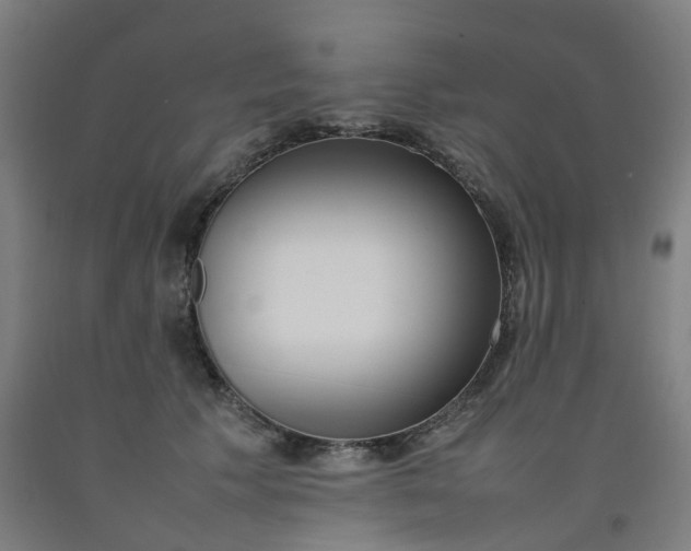 X0000092240609200709281125