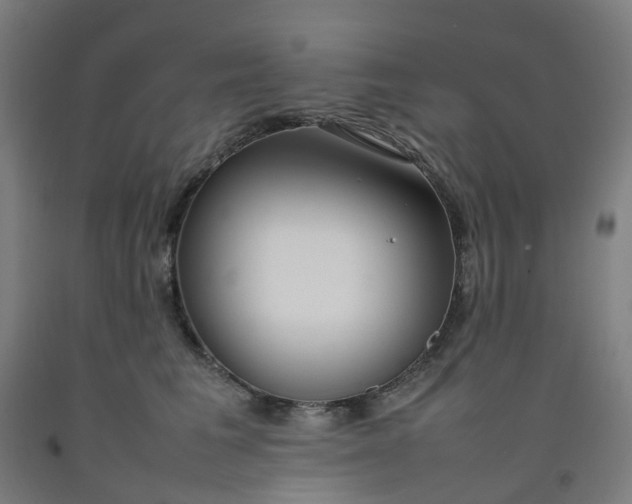 X0000092240613200709281125