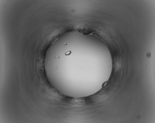 X0000092240619200709281125