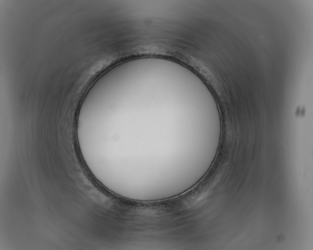 X0000092240625200709281125