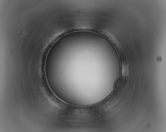 X0000092240627200709281125