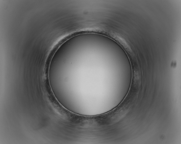 X0000092240628200709281125