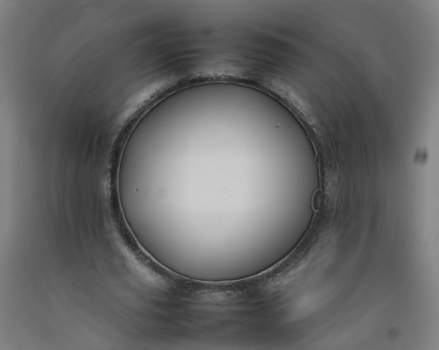 X0000092240629200709281125