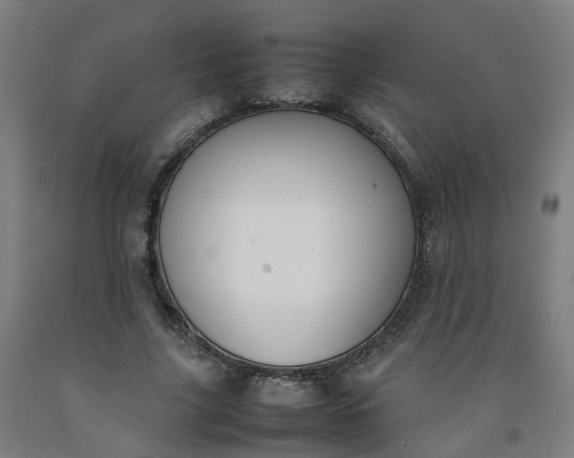 X0000092240635200709281125