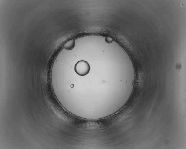 X0000092240636200709281125