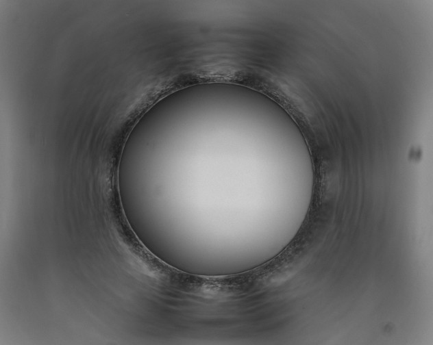 X0000092240641200709281125