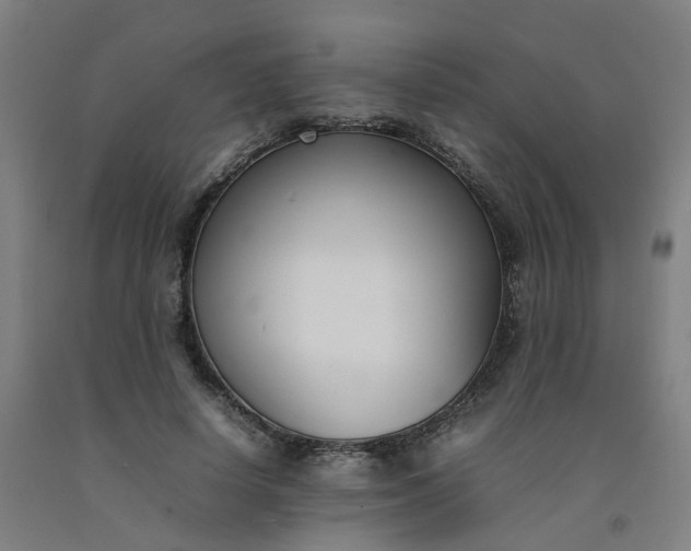 X0000092240642200709281125