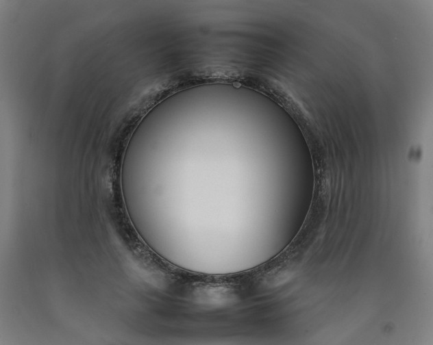 X0000092240643200709281125