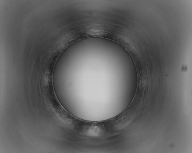 X0000092240647200709281125