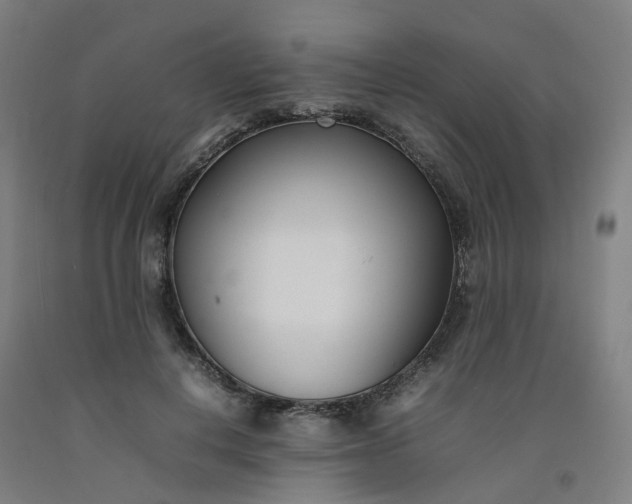 X0000092240648200709281125