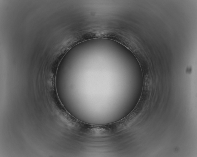 X0000092240650200709281125