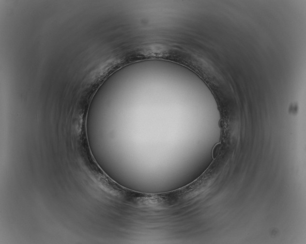 X0000092240652200709281125