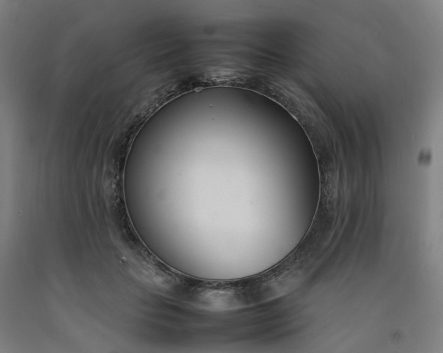 X0000092240653200709281125