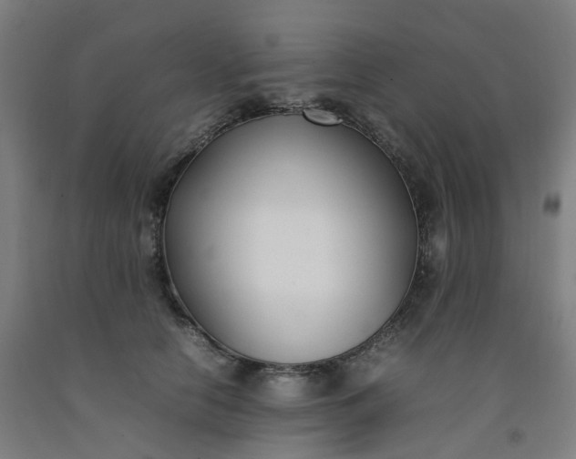 X0000092240658200709281125