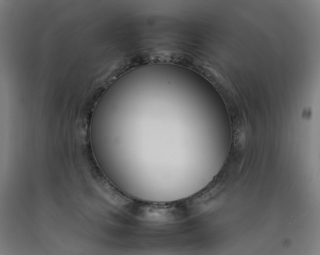 X0000092240661200709281125