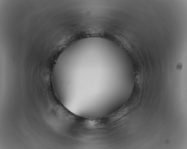 X0000092240662200709281125