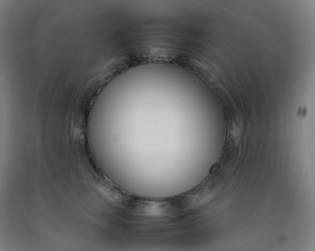 X0000092240663200709281125