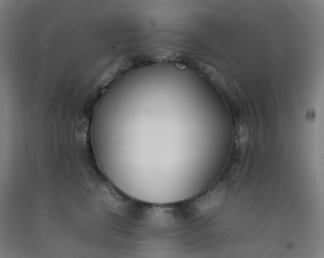 X0000092240664200709281125